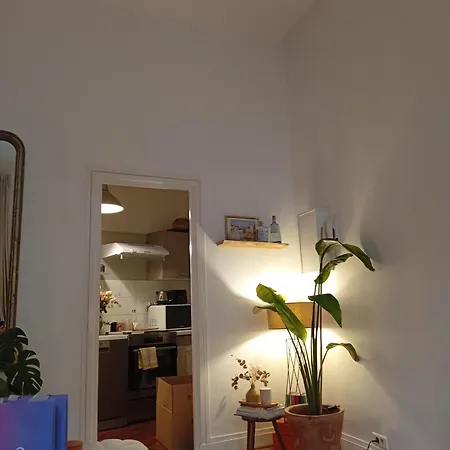 Apartment Beautiful Center Of *