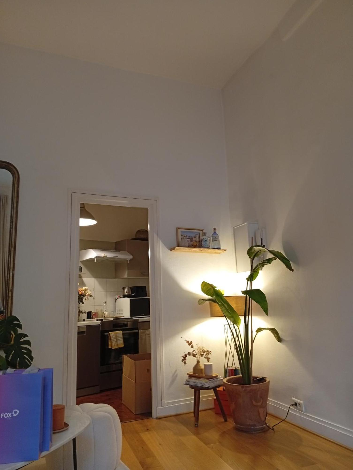 Apartment Beautiful Center Of *